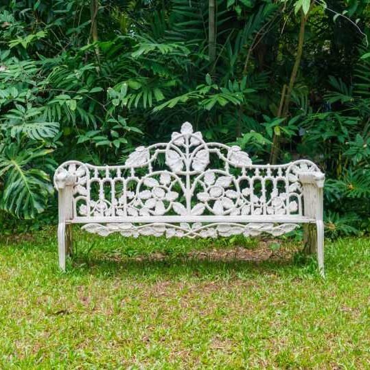Old bench in park