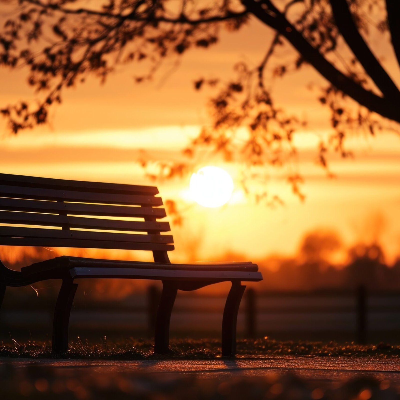 Photo of silhouette park bench sky furniture sunlight.